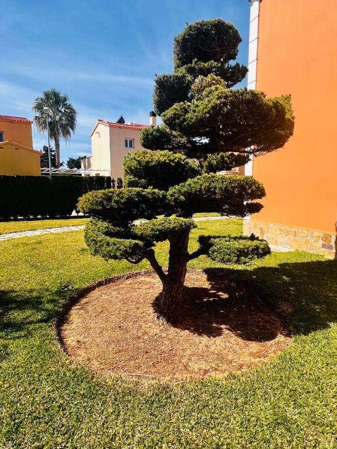 Oliva Nova Beach & Golf Resort Club Sevilla VI Экстерьер фото